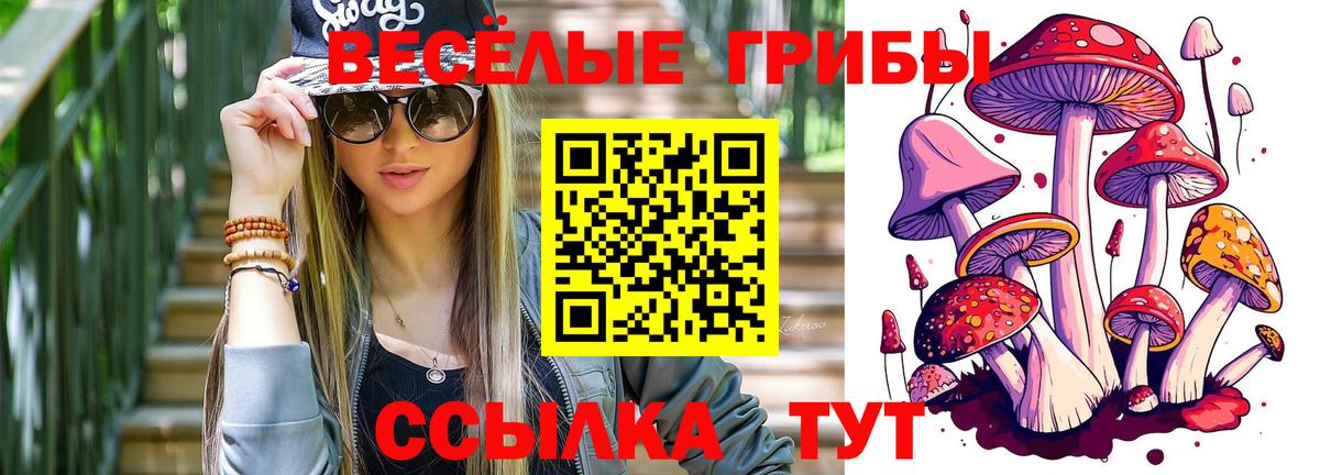 Галлюциногенные грибы Cubensis Нижний Новгород